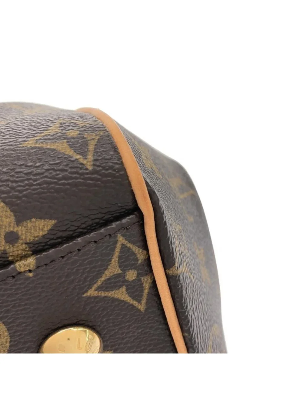 Louis Vuitton Monogram Trevi PM Bag